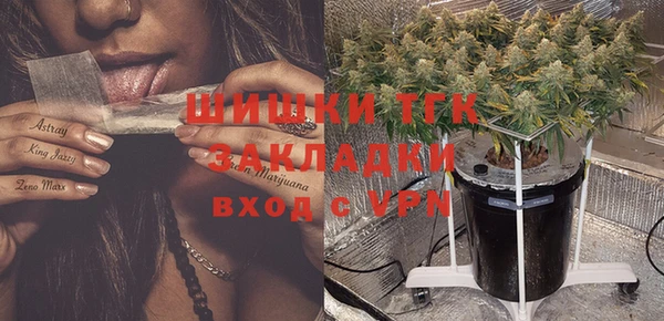 дмт Кукмор