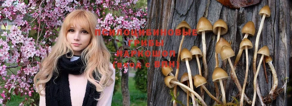 дмт Кукмор