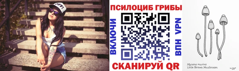 Галлюциногенные грибы Psilocybine cubensis цена наркотик Куртамыш